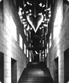 「Cuore aperto」(開かれた心)