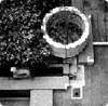 建築セミナー「テーマ：庭園」