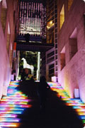 Color of Life:in-design 2004
