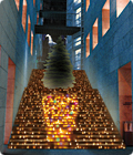 TDC winter display in 2008-2009