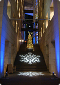 TDC winter display 2010-11