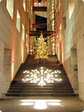 TDC winter display in 2012-13